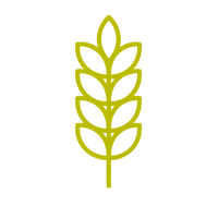 High Fiber